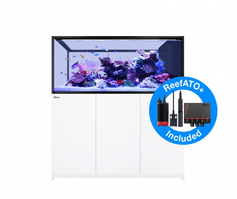 Red Sea Reefer Peninsula S-700 G2+ Meerwasseraquarium Komplettset